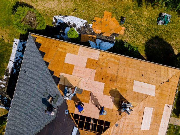 Best Flat Roof Repair Services  in Oakwood, IL