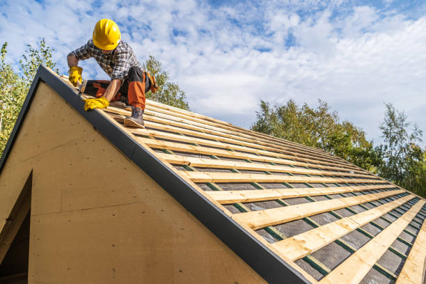 Sealant for Roof in Oakwood, IL
