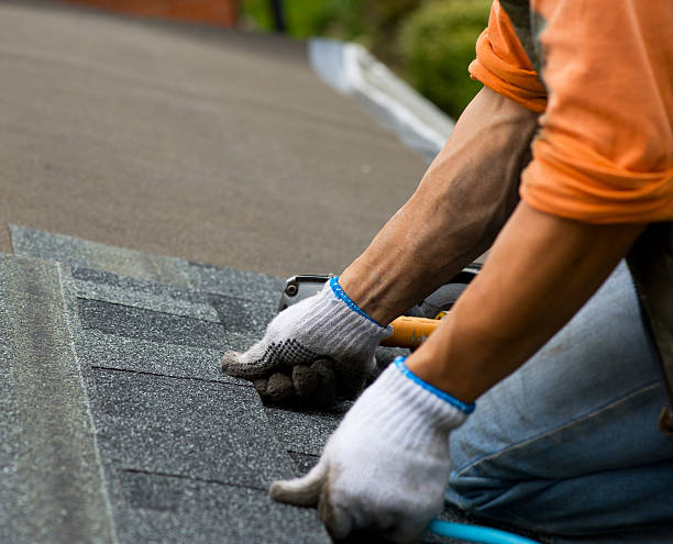 Best Roof Repair Services  in Oakwood, IL