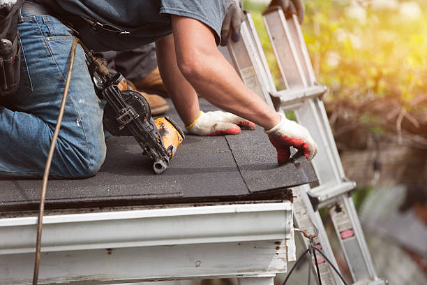 Best Roofing Contractor Near Me  in Oakwood, IL