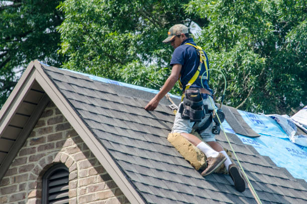 Best Roof Restoration Services  in Oakwood, IL