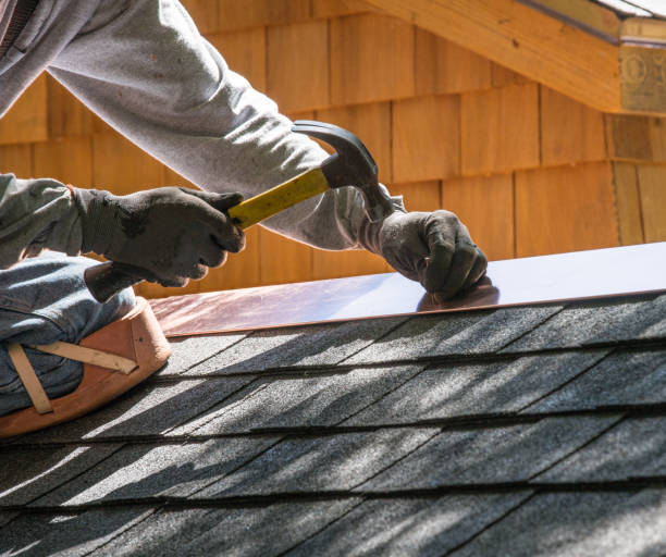 Best Roof Gutter Cleaning  in Oakwood, IL